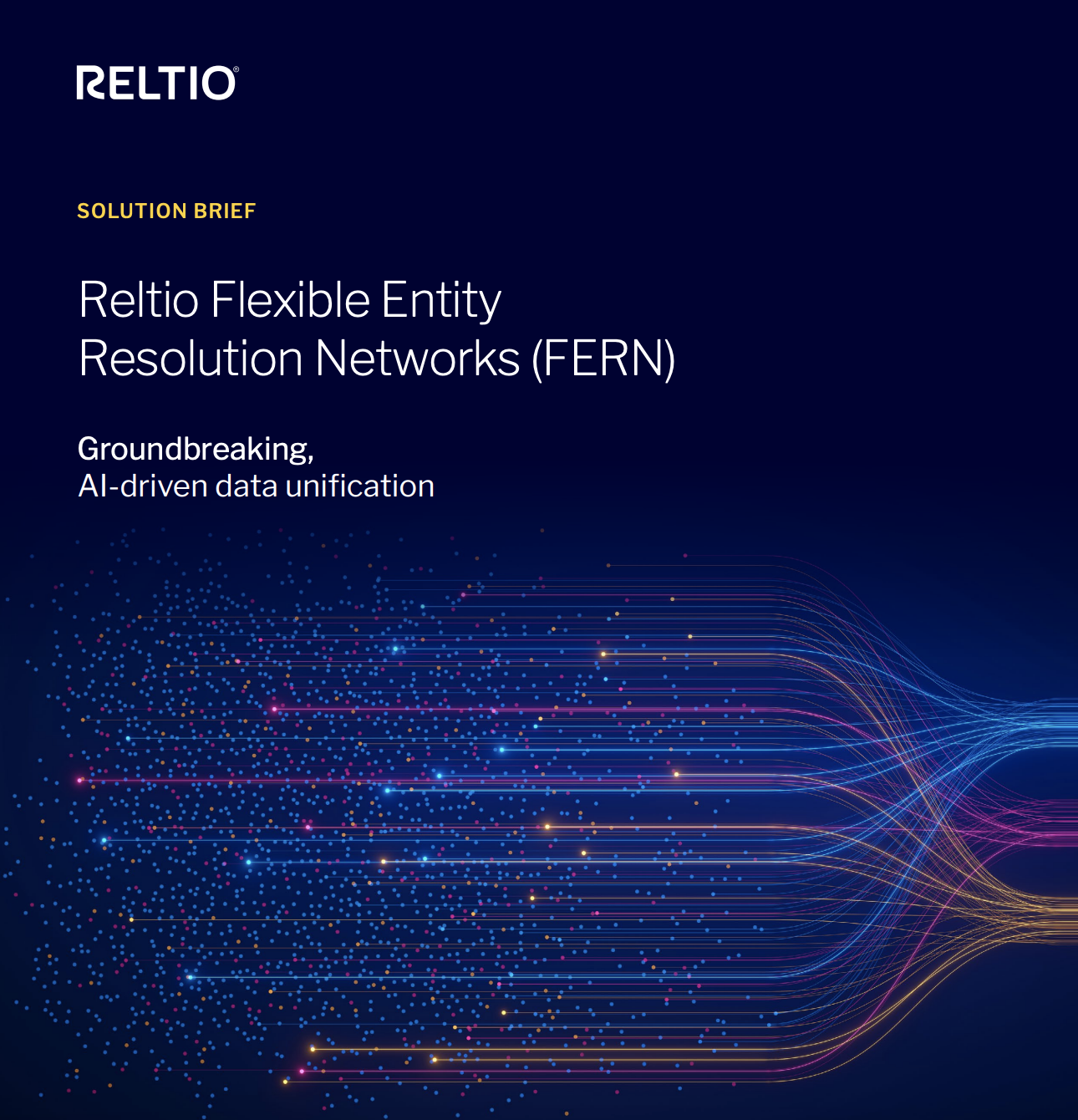 Reltio Flexible Entity Resolution Networks (FERN) SB